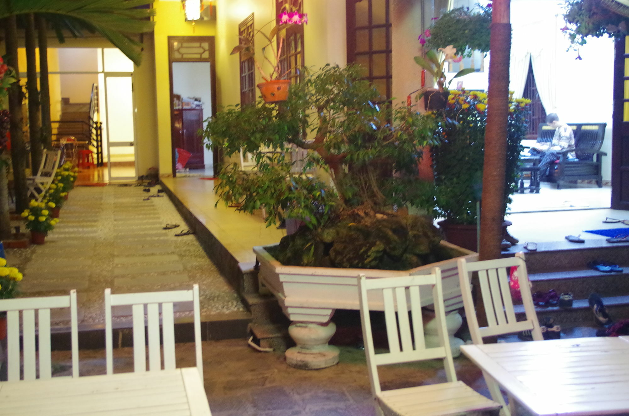 Mango Garden Hoi An Homestay Zewnętrze zdjęcie